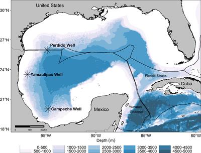 Semi-quantitative risk assessment of marine mammal oil exposure: A case study in the western Gulf of Mexico